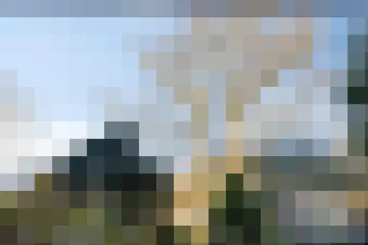 Hoefslag 7 Gorssel thumbnail 34