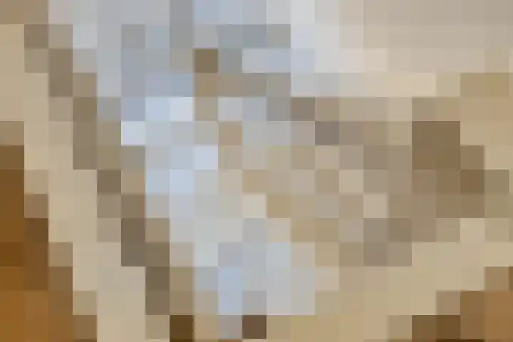 Hoefslag 7 Gorssel thumbnail 36