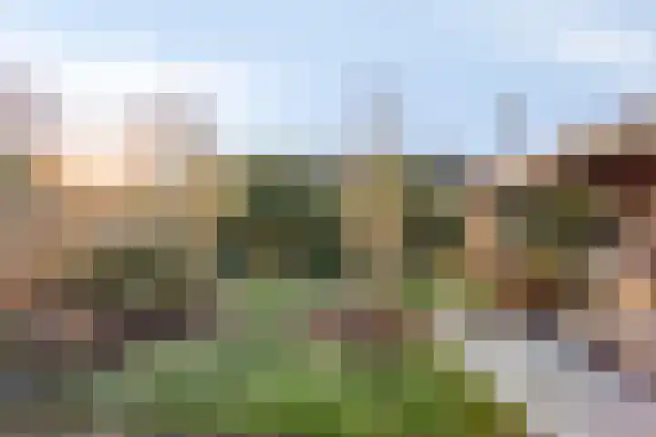 Hoefslag 7 Gorssel thumbnail 44