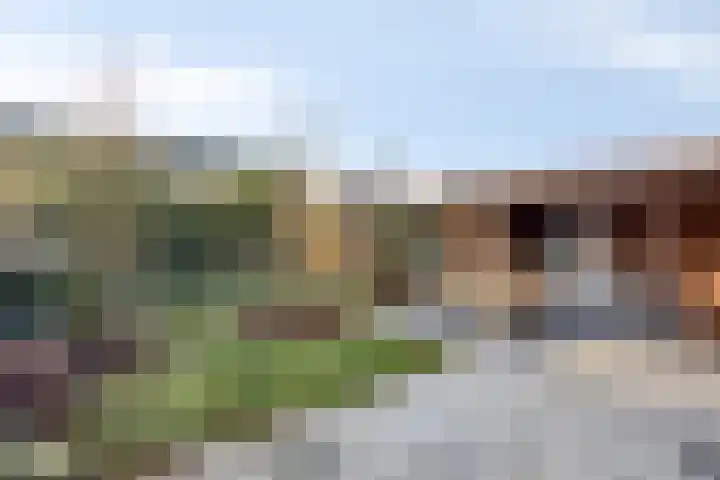 Hoefslag 7 Gorssel thumbnail 45