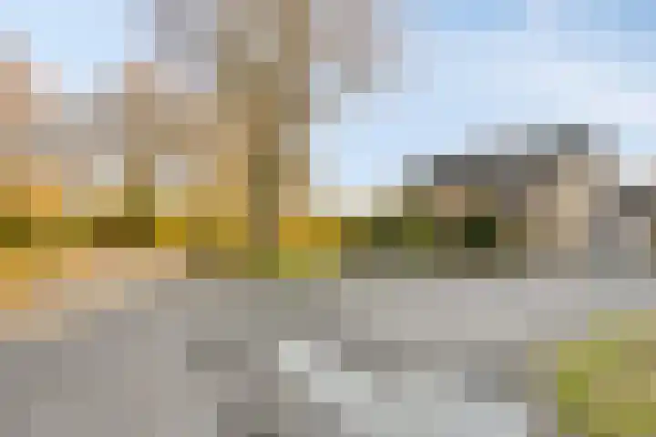 Hoefslag 7 Gorssel thumbnail 48