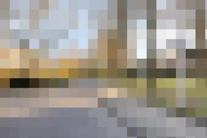 Hoefslag 7 Gorssel thumbnail 49