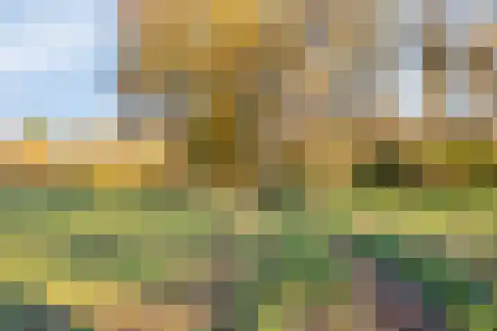 Hoefslag 7 Gorssel thumbnail 50