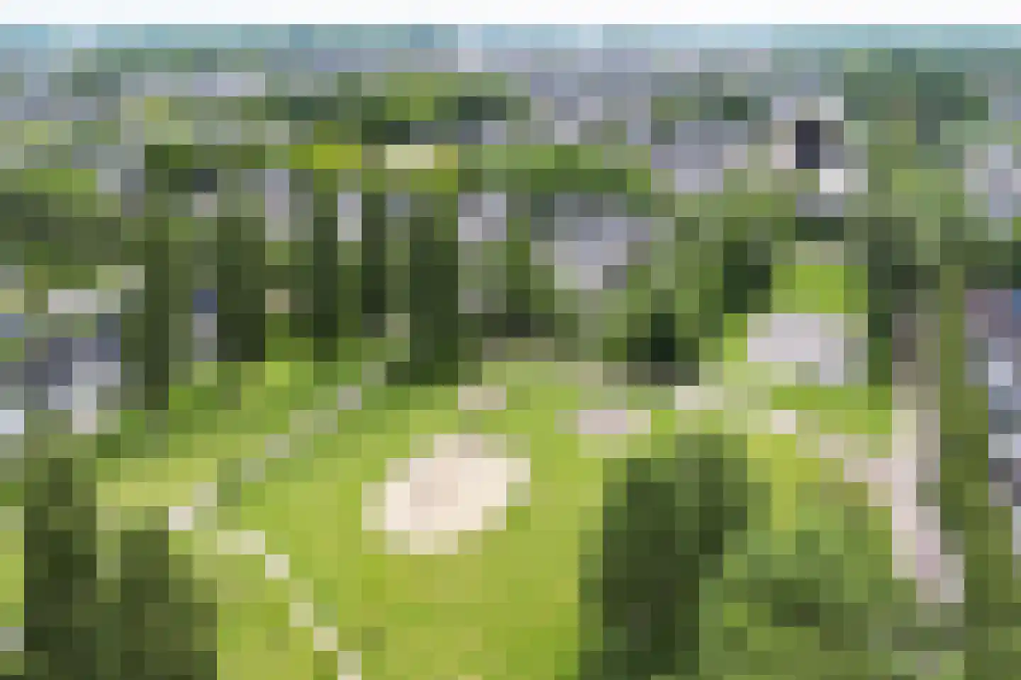Hoefslag 70 Barendrecht thumbnail 42