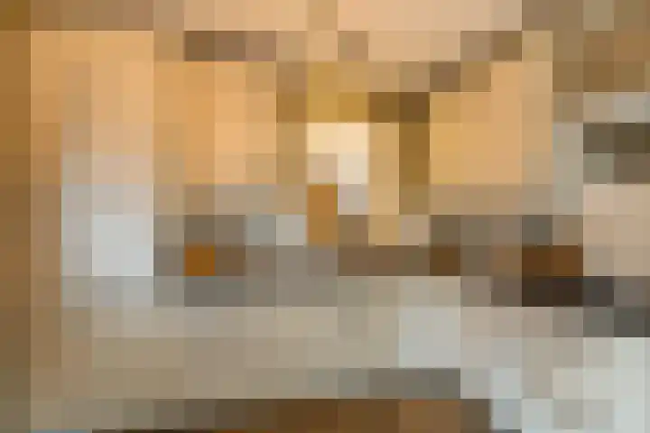 Hoefslag 8 Hulshorst thumbnail 24