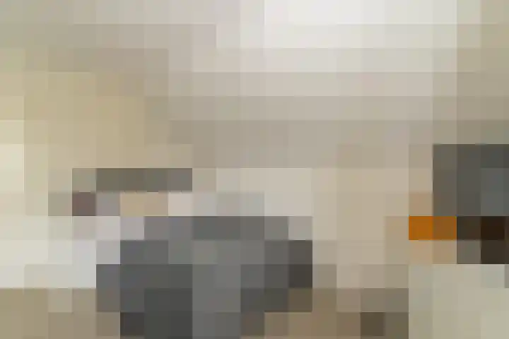 Hoefslag 8 Hulshorst thumbnail 33