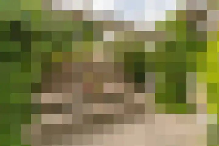 Hoefslag 8 Hulshorst thumbnail 39