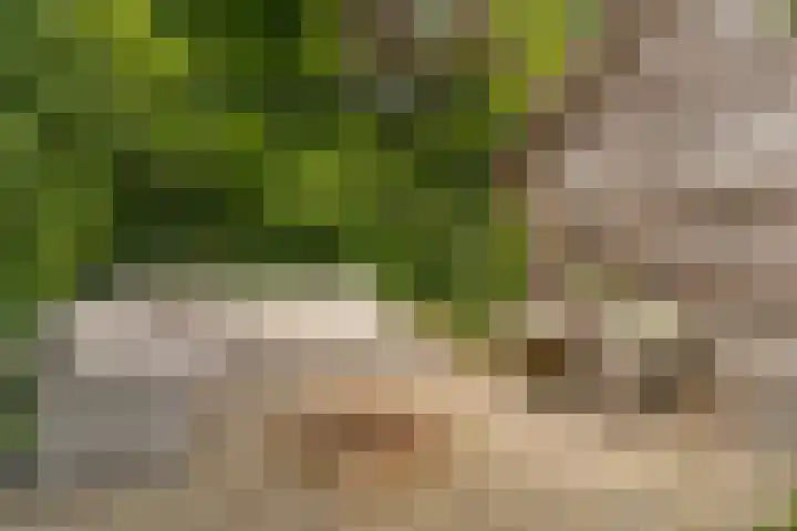 Hoefslag 8 Hulshorst thumbnail 41