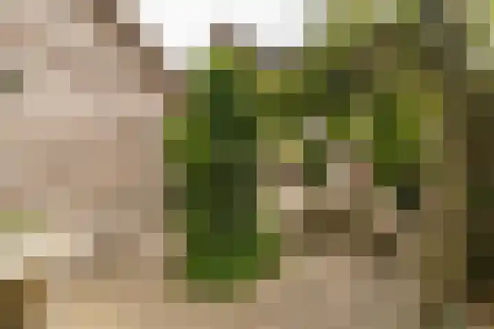 Hoefslag 8 Hulshorst thumbnail 42