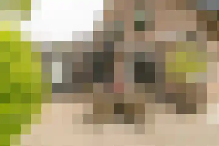 Hoefslag 8 Hulshorst thumbnail 47