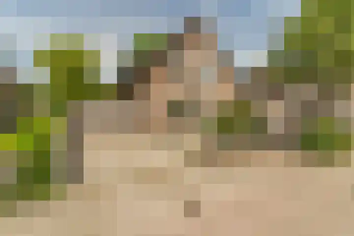 Hoefslag 8 Hulshorst thumbnail 5