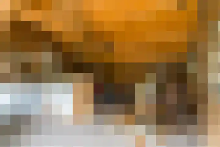 Hoefslag 8 Hulshorst thumbnail 50