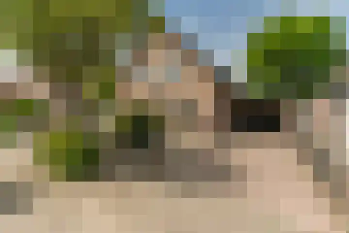 Hoefslag 8 Hulshorst thumbnail 59