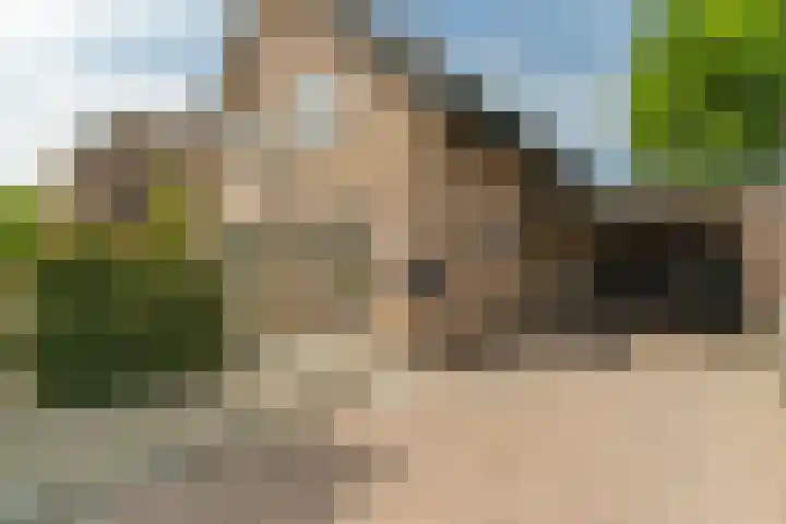 Hoefslag 8 Hulshorst thumbnail 7