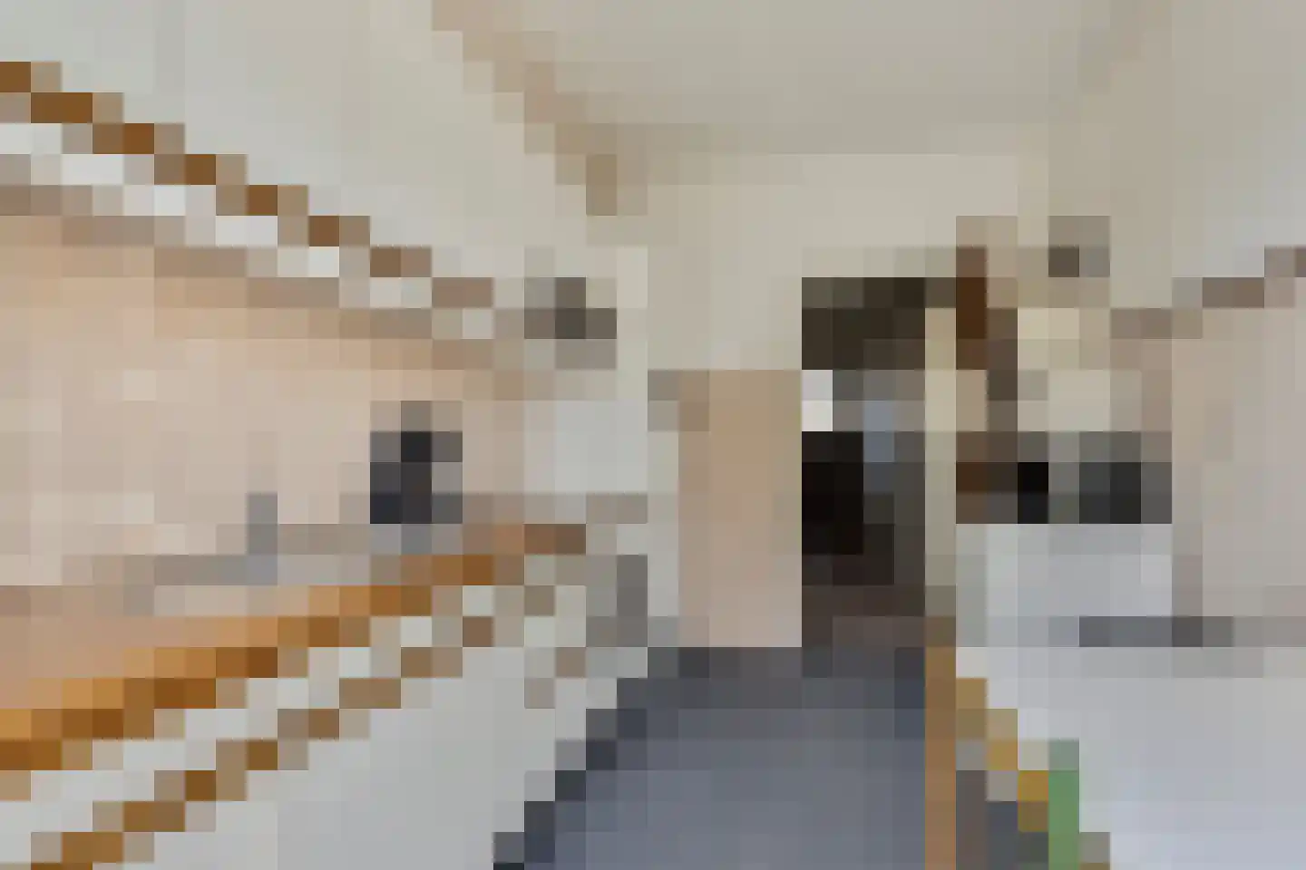 Hoefslag 84 Nijkerk thumbnail 10