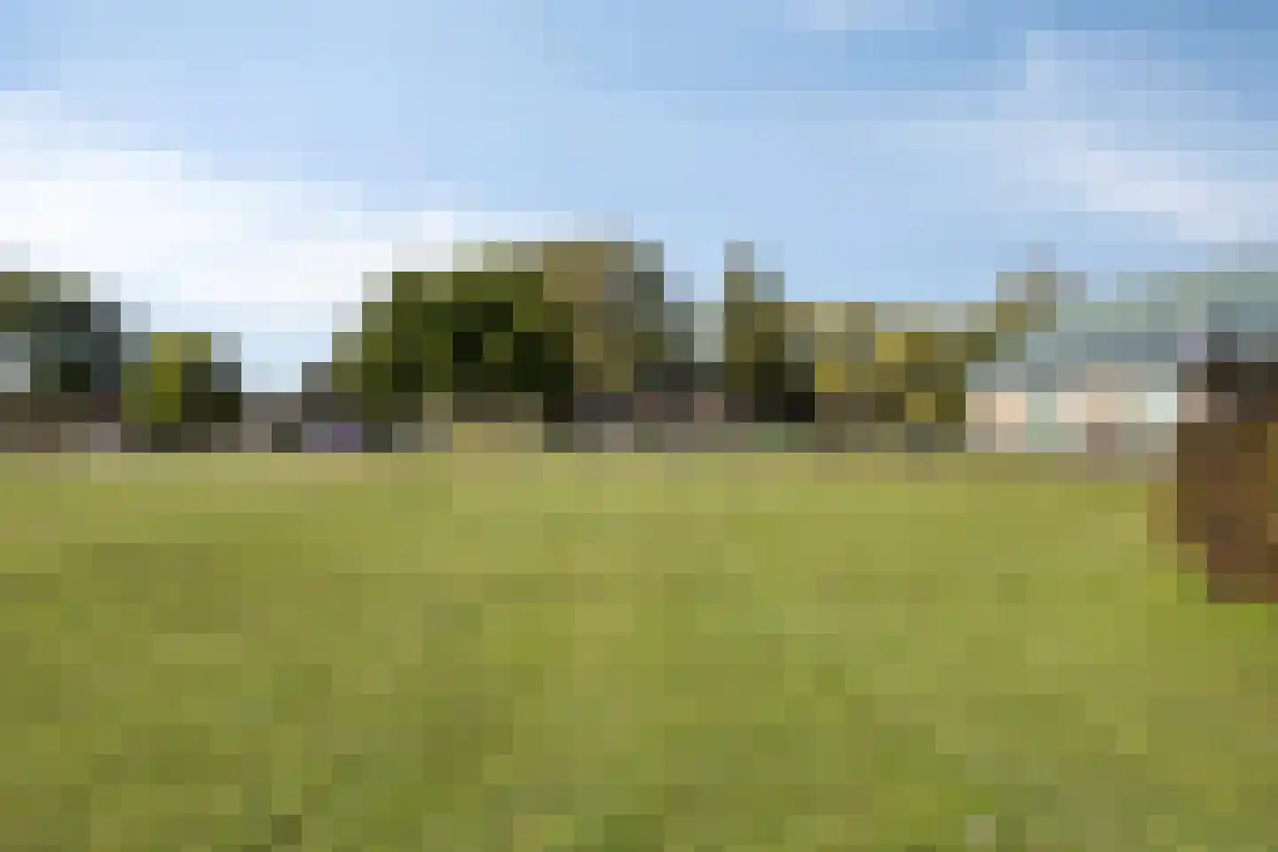 Hoefslag 84 Nijkerk thumbnail 32