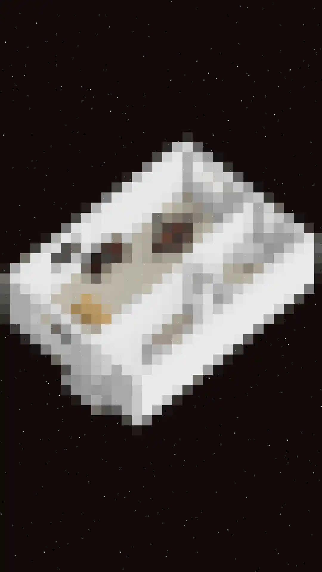 Hoefslag 84 Nijkerk thumbnail 39