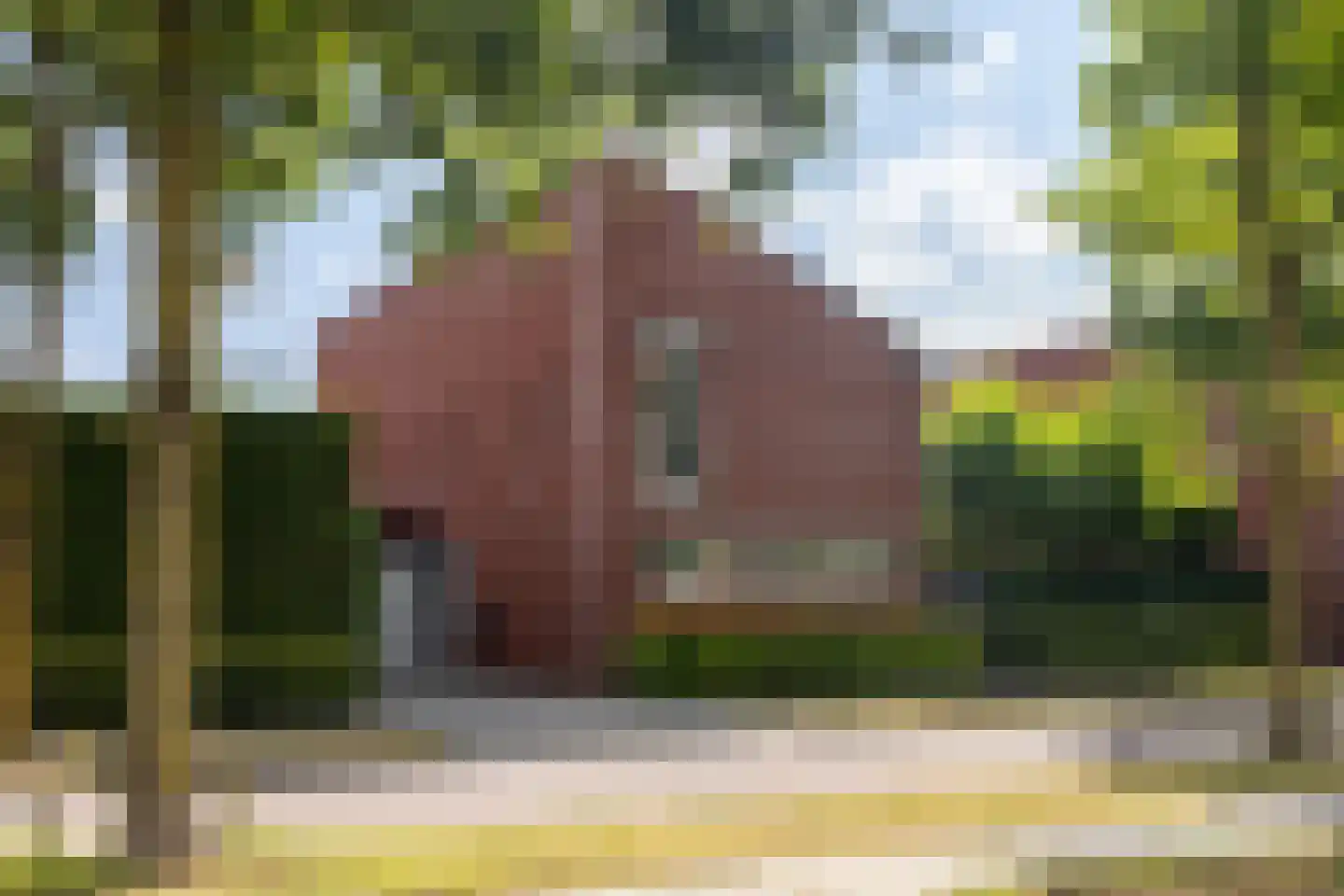 Hoefslag 9 in Bemmel