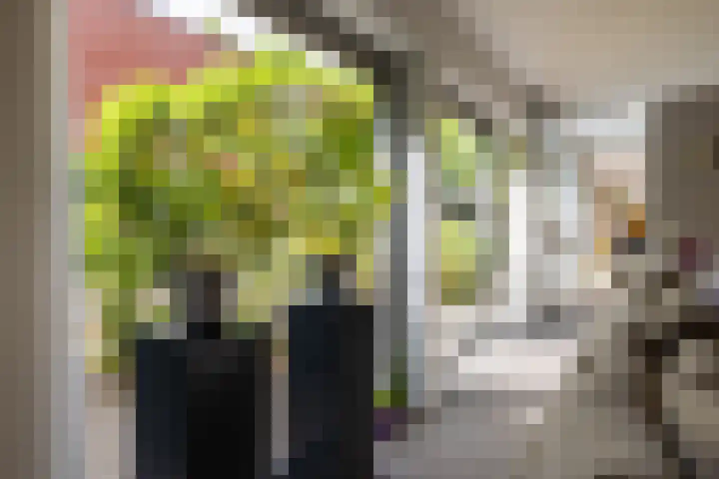 Hoefslag 9 Bemmel thumbnail 17