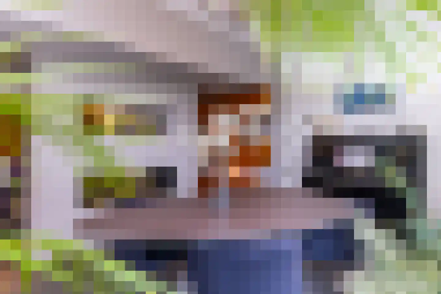 Hoefslag 9 Bemmel thumbnail 20