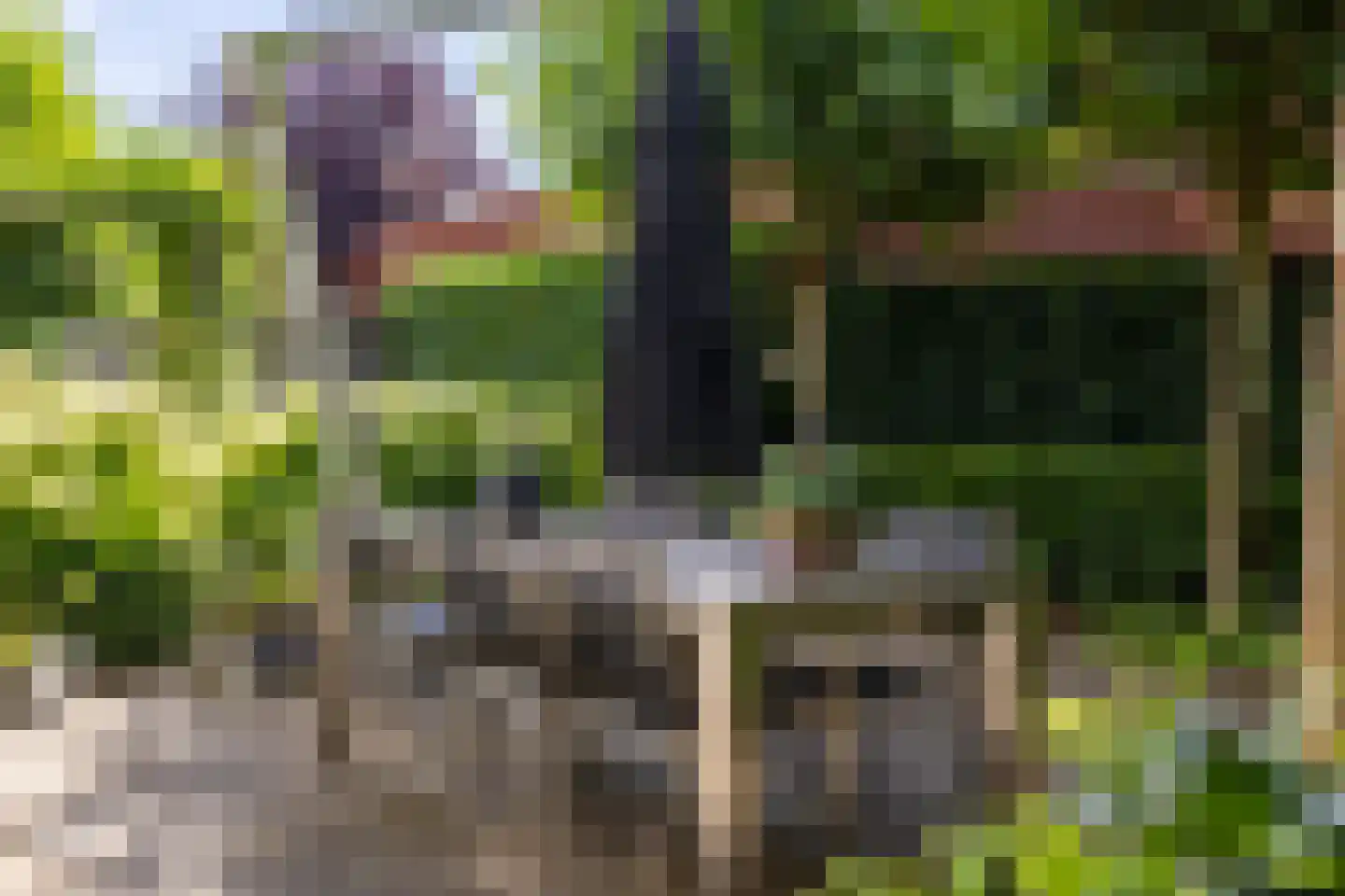 Hoefslag 9 Bemmel thumbnail 30