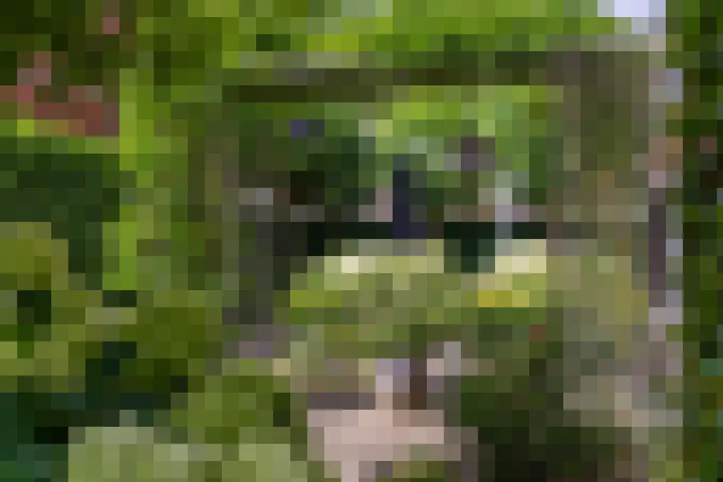Hoefslag 9 Bemmel thumbnail 31