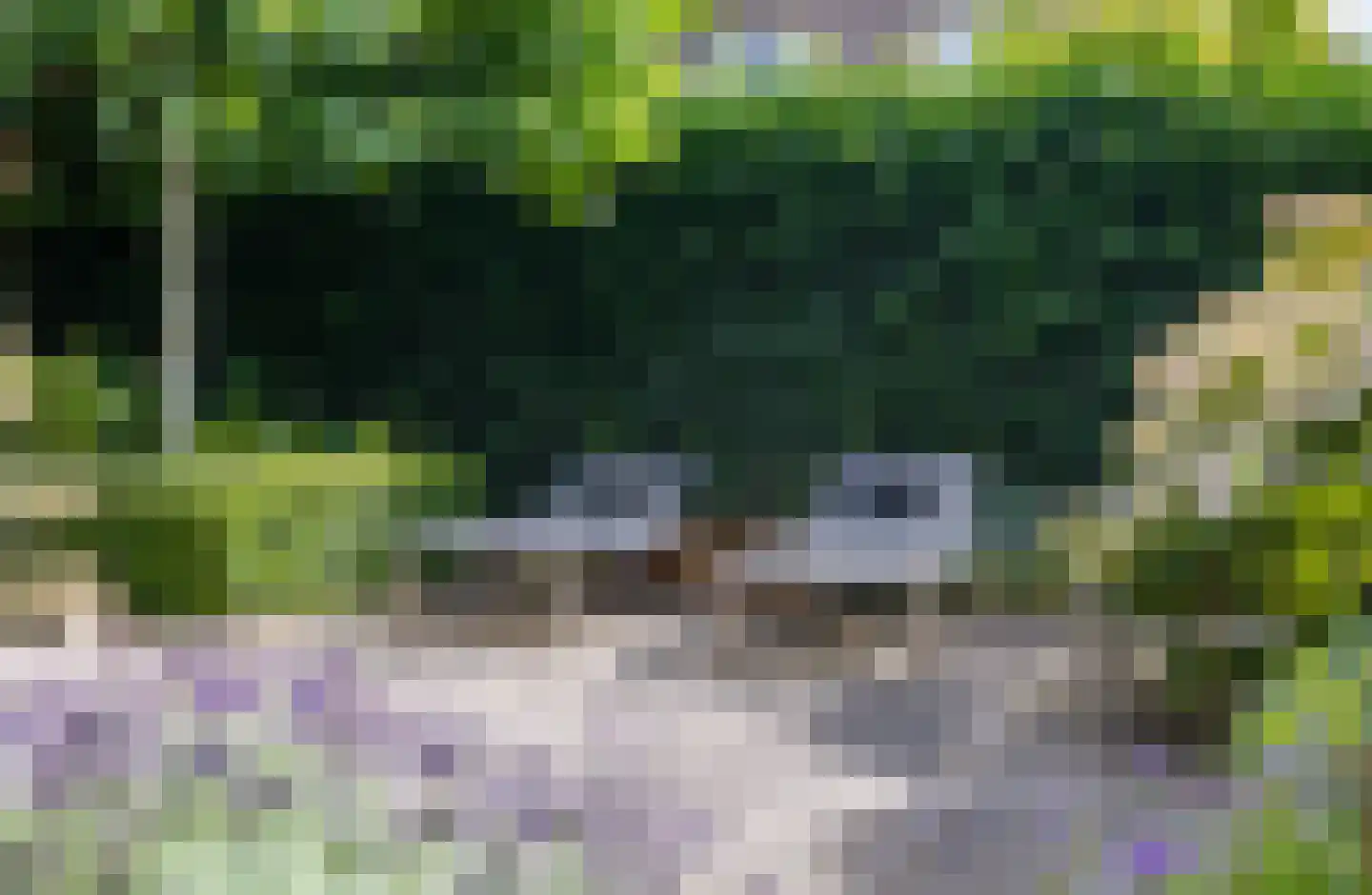 Hoefslag 9 Bemmel thumbnail 32