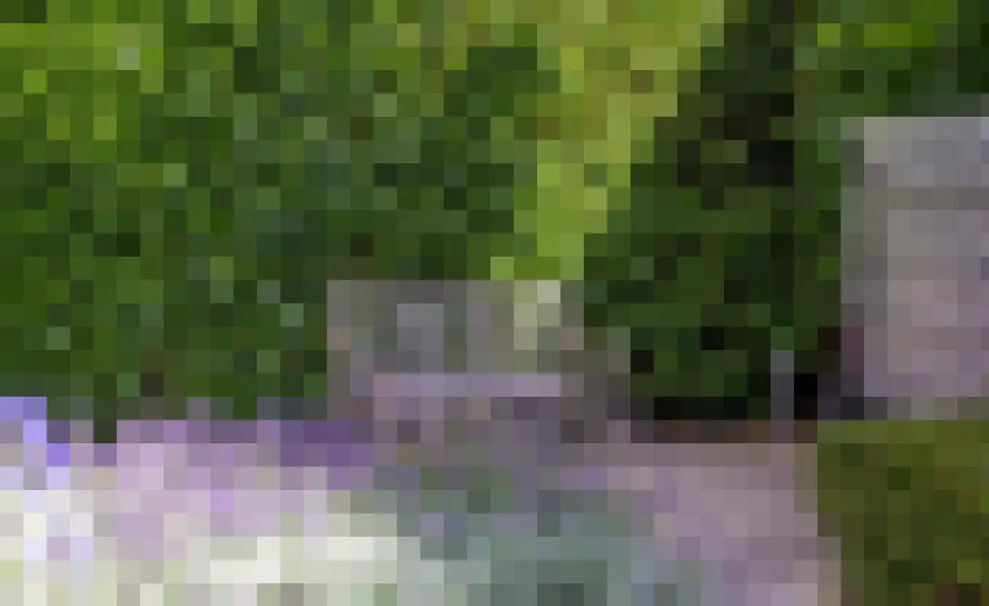 Hoefslag 9 Bemmel thumbnail 34