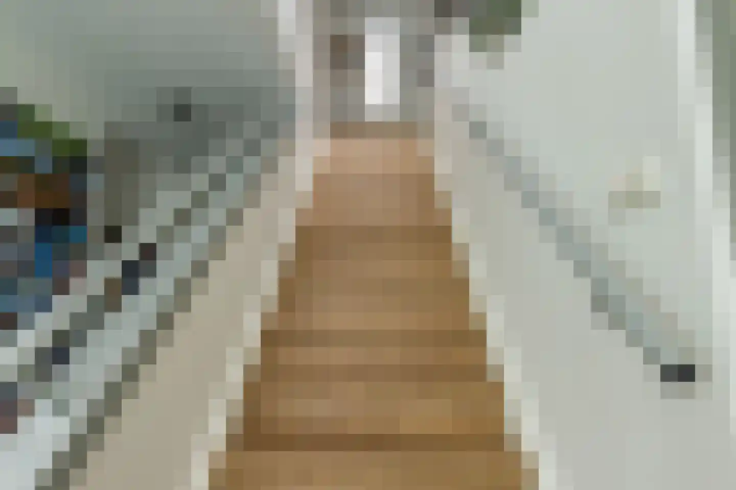 Hoefslag 9 Bemmel thumbnail 36