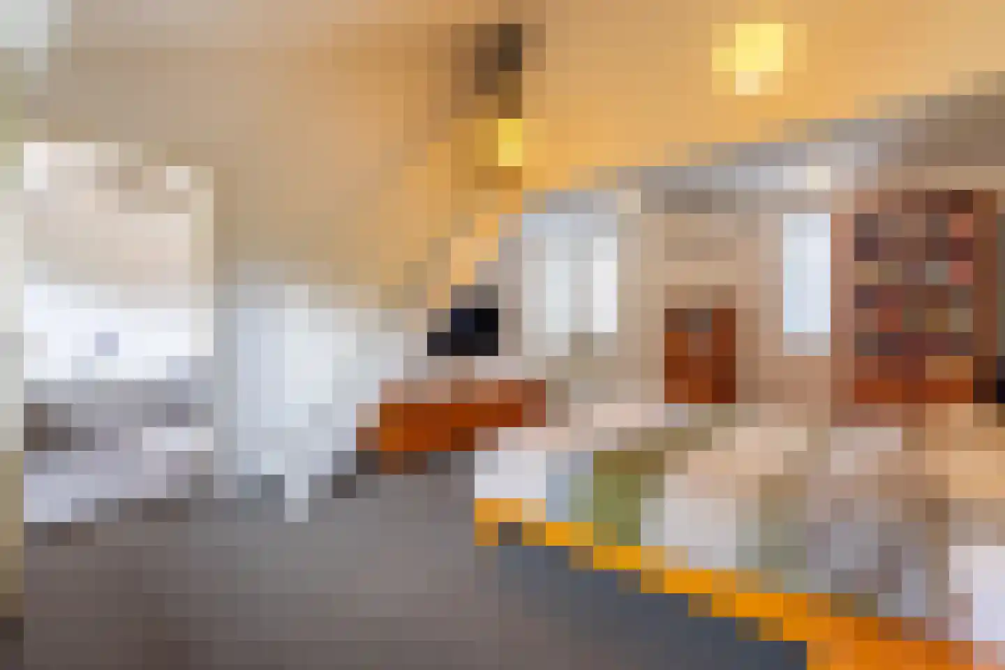 Hoefslag 9 Bemmel thumbnail 37