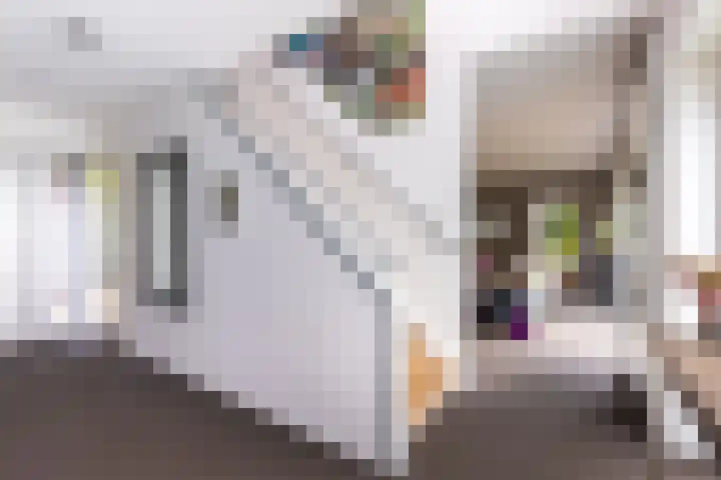 Hoefslag 9 Bemmel thumbnail 5