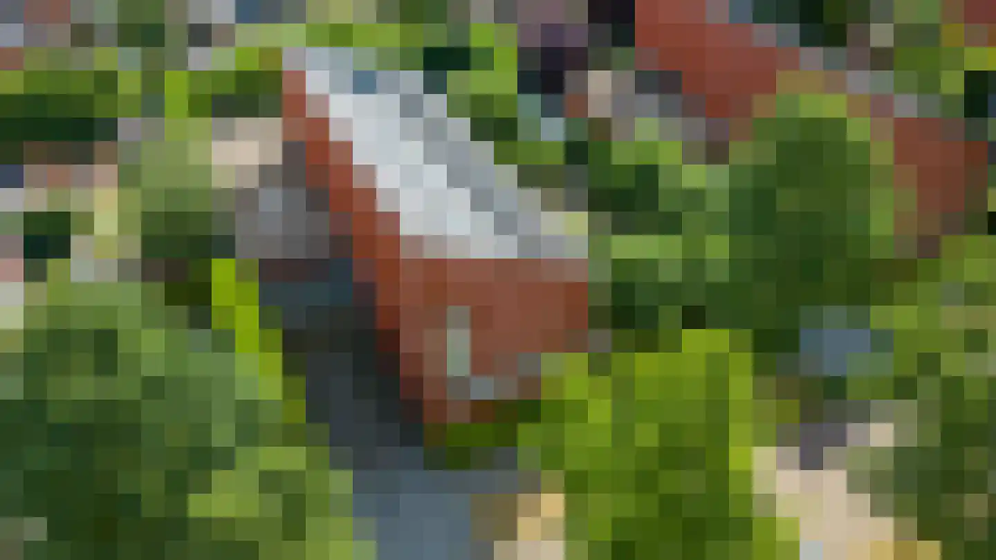 Hoefslag 9 Bemmel thumbnail 53