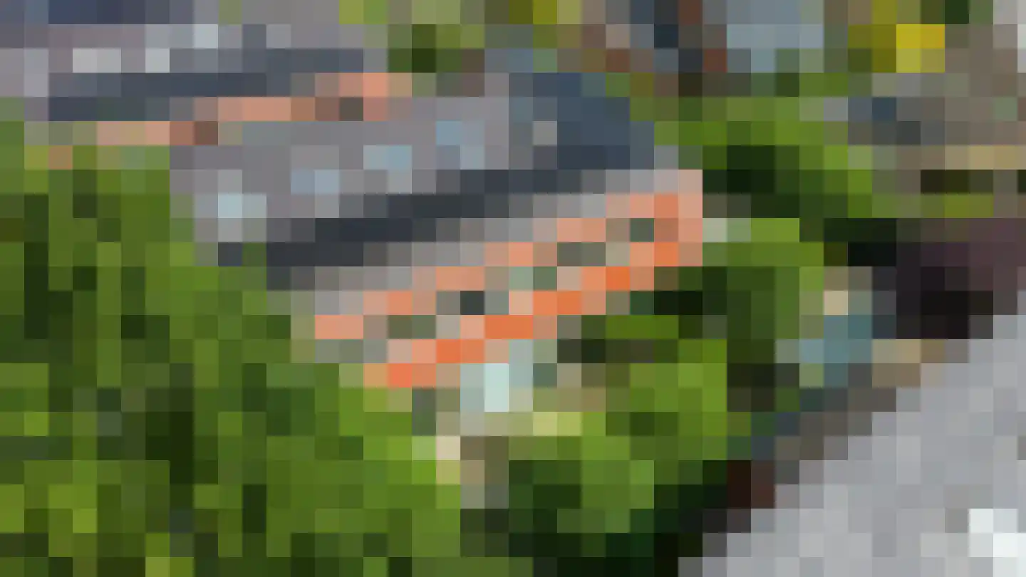 Hoefslag 9 Bemmel thumbnail 56
