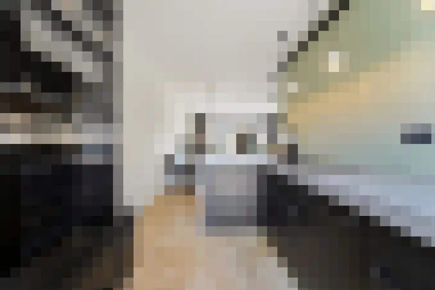 Hoefslagendreef 12 Delft thumbnail 18