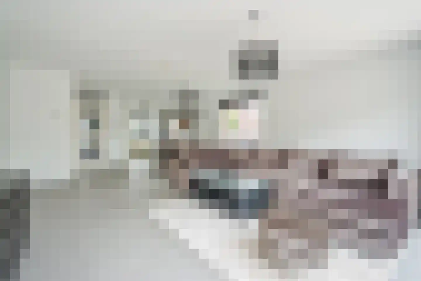 Hoefslagendreef 50 Delft thumbnail 15
