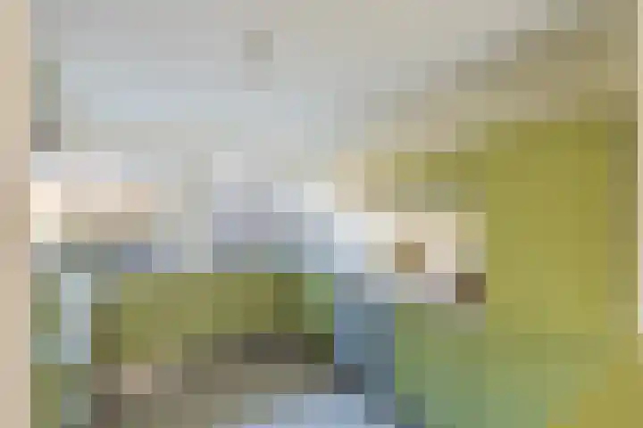 Hoefslagmate 20 Zwolle thumbnail 11