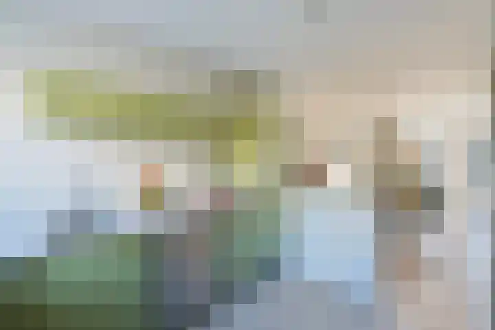 Hoefslagmate 20 Zwolle thumbnail 12