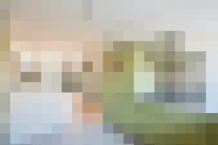 Hoefslagmate 20 Zwolle thumbnail 13