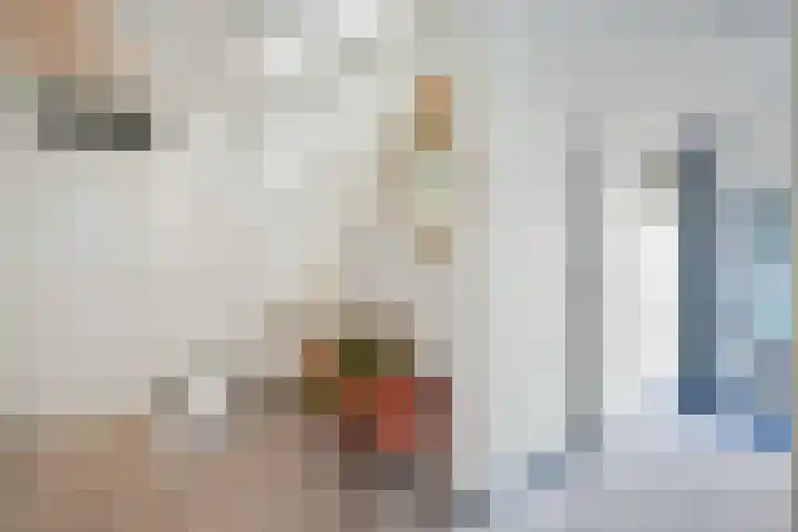 Hoefslagmate 20 Zwolle thumbnail 16