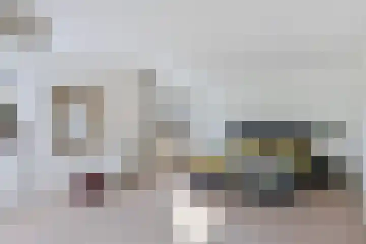 Hoefslagmate 20 Zwolle thumbnail 18