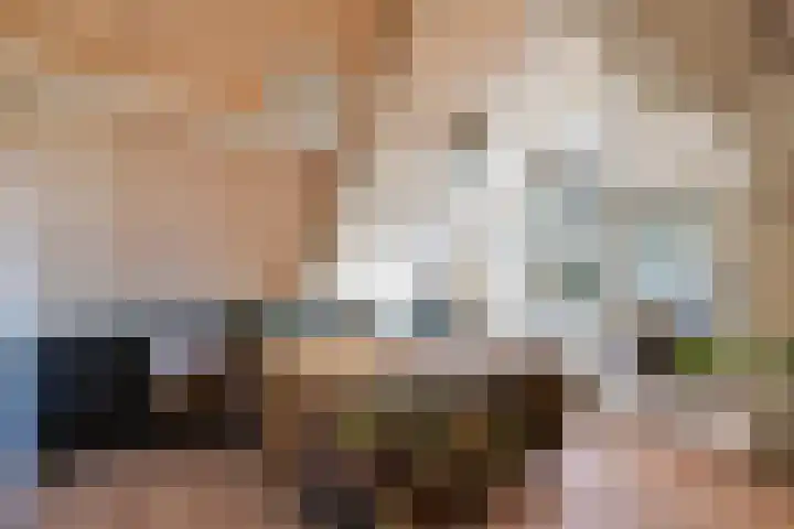 Hoefslagmate 20 Zwolle thumbnail 26