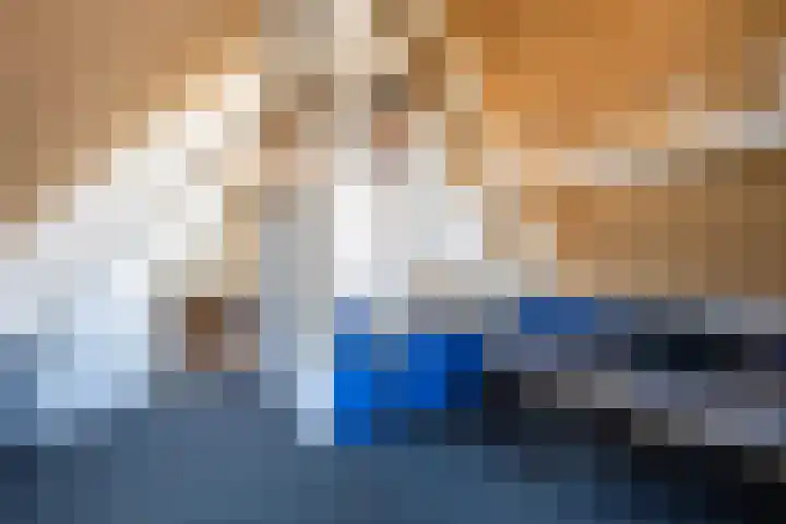 Hoefslagmate 20 Zwolle thumbnail 29