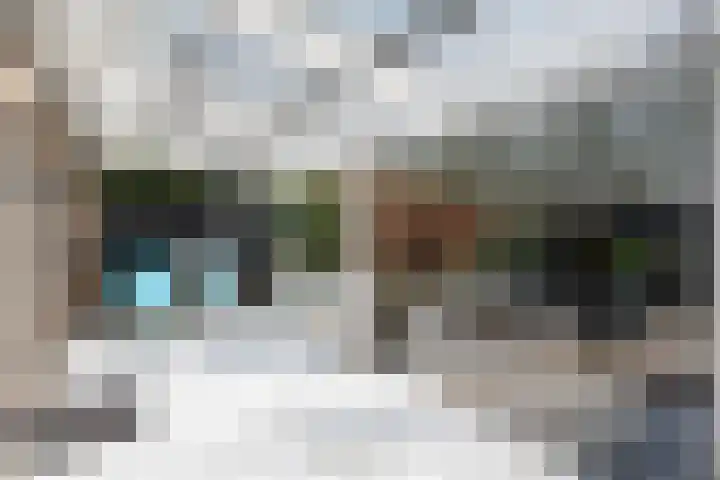 Hoefslagmate 20 Zwolle thumbnail 34