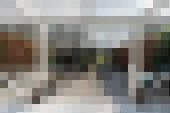 Hoefslagmate 20 Zwolle thumbnail 35