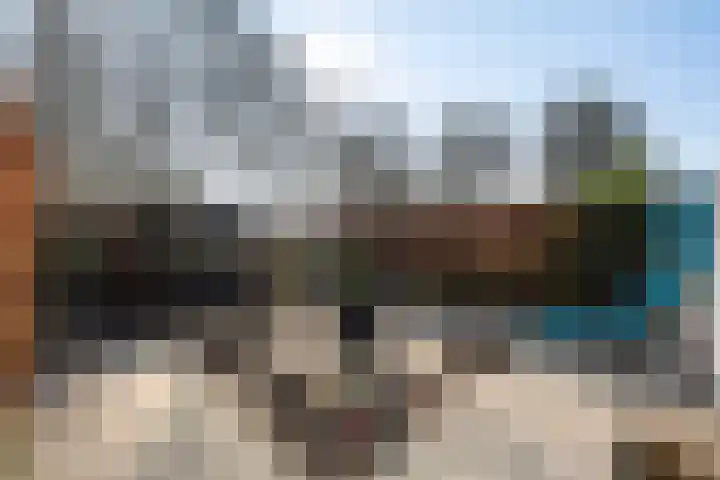 Hoefslagmate 20 Zwolle thumbnail 37