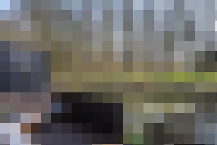 Hoefslagmate 20 Zwolle thumbnail 38