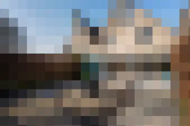 Hoefslagmate 20 Zwolle thumbnail 39