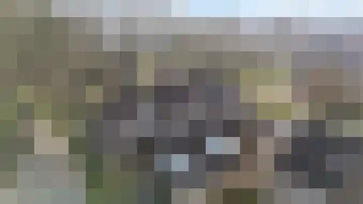 Hoefslagmate 20 Zwolle thumbnail 40