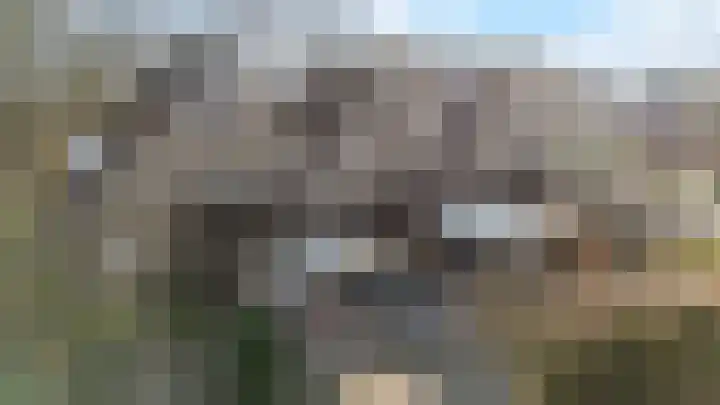 Hoefslagmate 20 Zwolle thumbnail 41