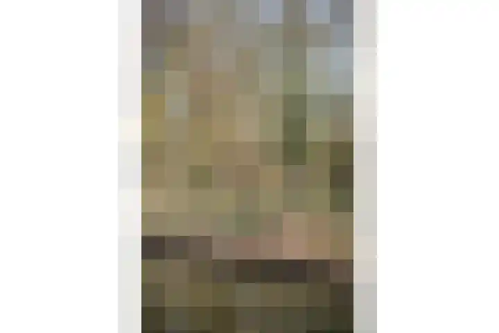 Hoefslagmate 20 Zwolle thumbnail 43